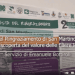 2ª festa di San Martino a Voghera